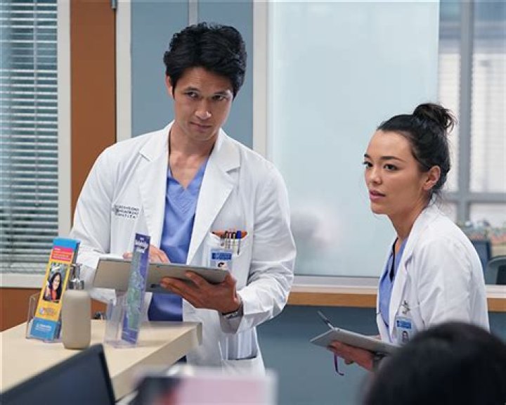 Addison Is Hit By A Car In Season 19 Episode 11 – Hollywood Life
