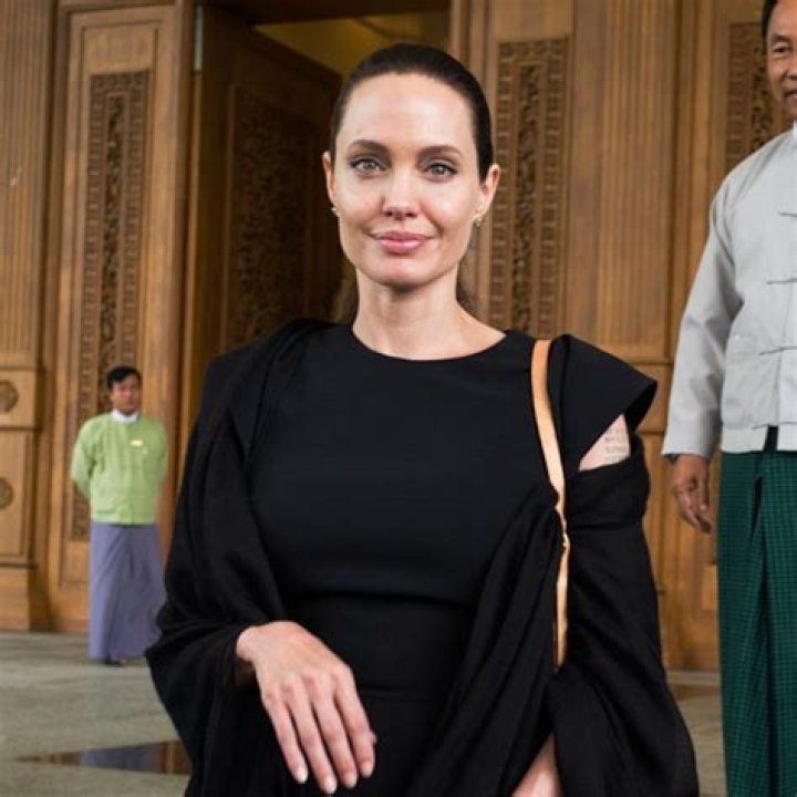 Angelina Jolie Shares Throwback Of Son Maddox To Fight For Change In His Home Country, Cambodia