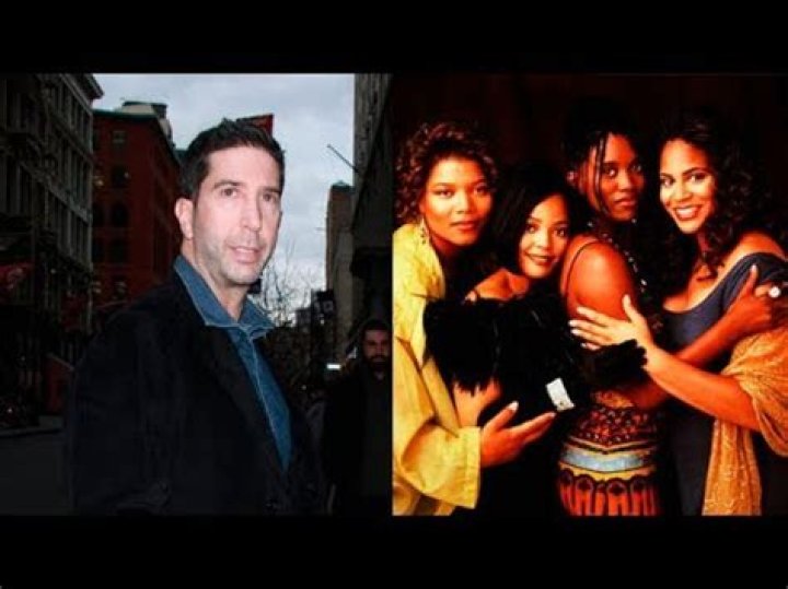 David Schwimmer Faces Heat After Proposing ‘All-Black’ Version Of ‘Friends’: It Was Called ‘Living Single’